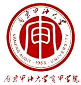 南京审计大学金审学院奖学金有哪些，一般多少钱?