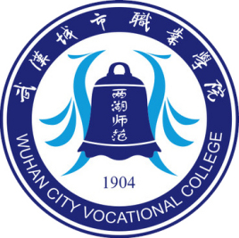 2022武汉城市职业学院录取分数线（含2020-2021历年）