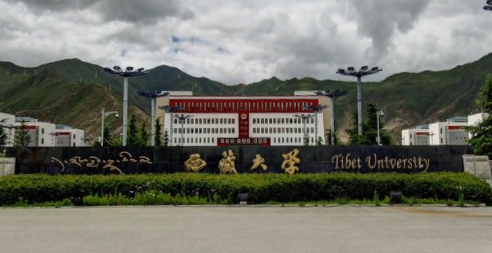 2022年西藏大学艺术类招生简章
