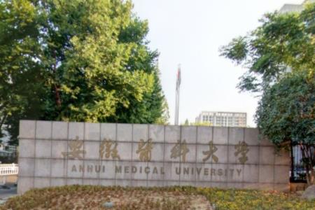 安徽医科大学奖学金有哪些，一般多少钱?