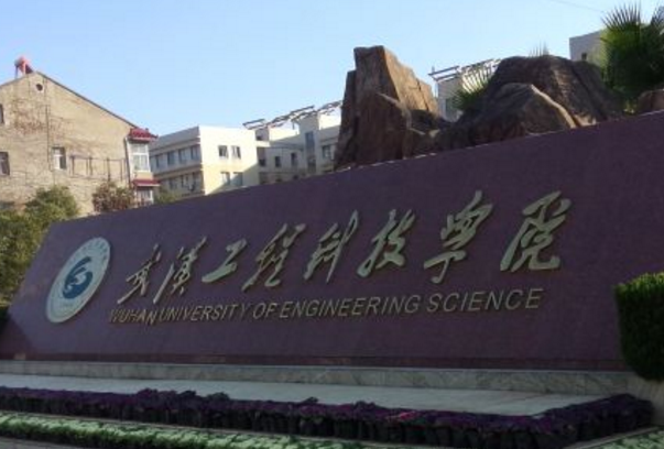 武汉工程科技学院是公办还是民办大学？