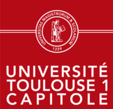2021-2022年图卢兹第一大学世界排名多少（QS最新第801-1000名）