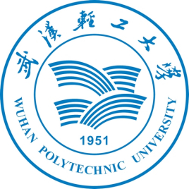 2021武汉轻工大学中外合作办学分数线（含2019-2020年）