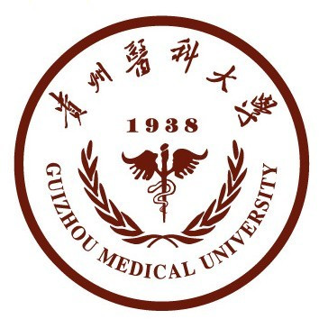 2024贵州医科大学研究生奖学金和助学金有哪些，多少钱？