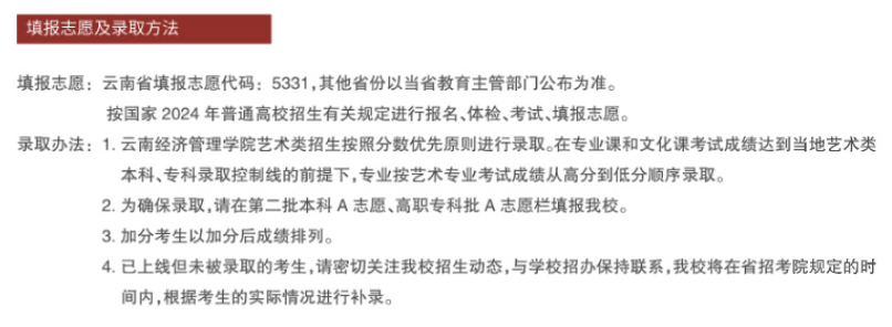 2024云南经济管理学院艺术类录取规则
