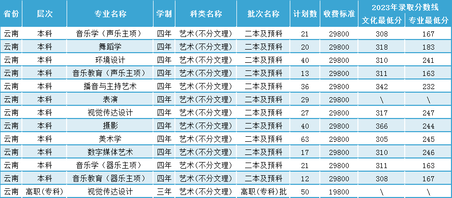 昆明城市半岛在线注册有哪些专业？