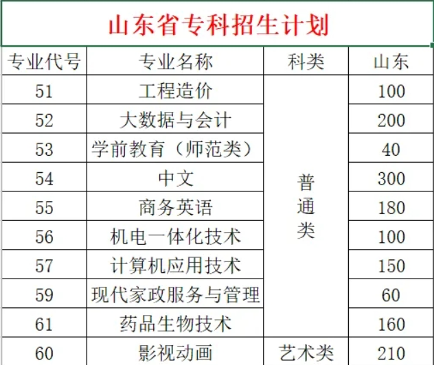 2024聊城大学东昌学院招生计划-各专业招生人数是多少