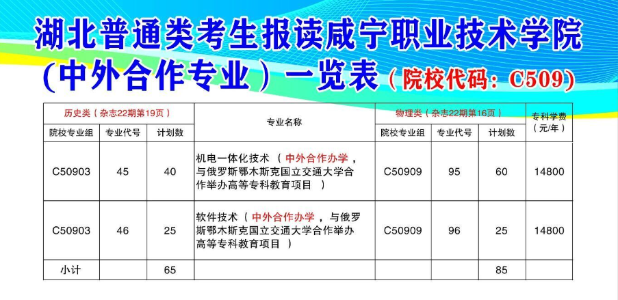 咸宁职业技术学院中外合作办学专业有哪些？