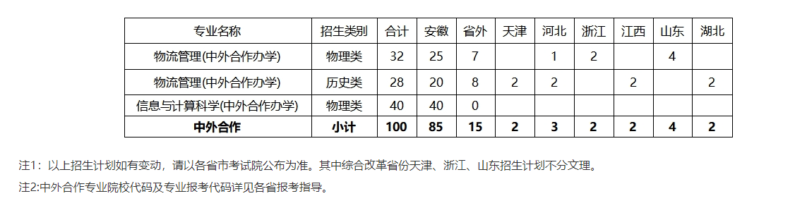 2024合肥大学中外合作办学招生计划-各专业招生人数是多少