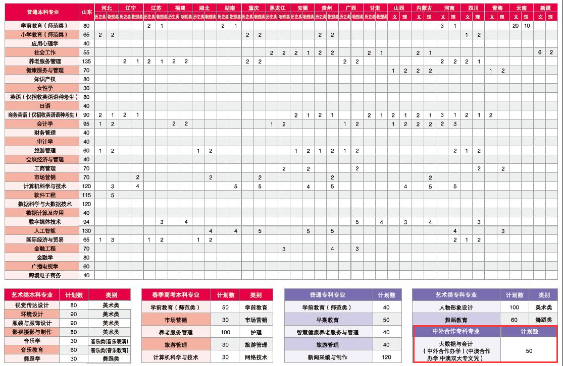 2024山东女子学院中外合作办学招生计划-各专业招生人数是多少