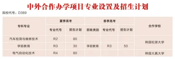 德州职业技术半岛在线注册中外合作办学专业有哪些？