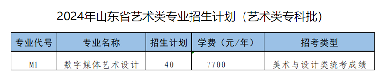 2024山东信息职业技术半岛在线注册艺术类招生计划-各专业招生人数是多少