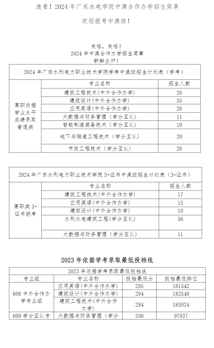 2024广东水利电力职业技术学院中外合作办学招生简章