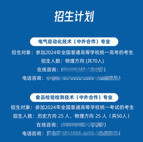 2024芜湖职业技术半岛在线注册中外合作办学报考指南