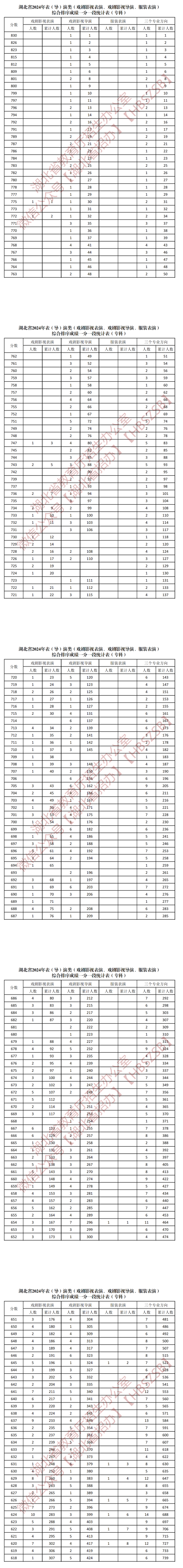2024湖北表（导）演高考一分一段表