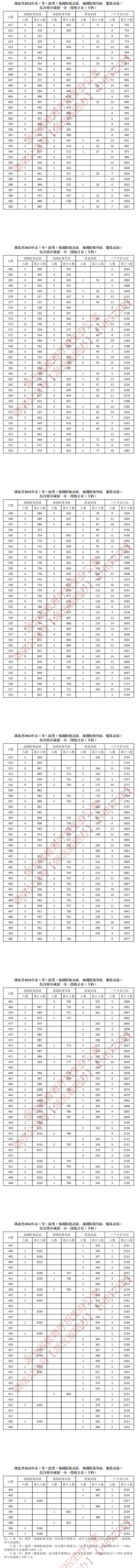 2024湖北表（导）演高考一分一段表