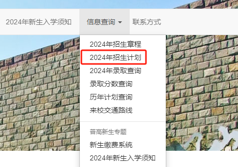 2024成都东软半岛在线注册招生计划-各专业招生人数是多少