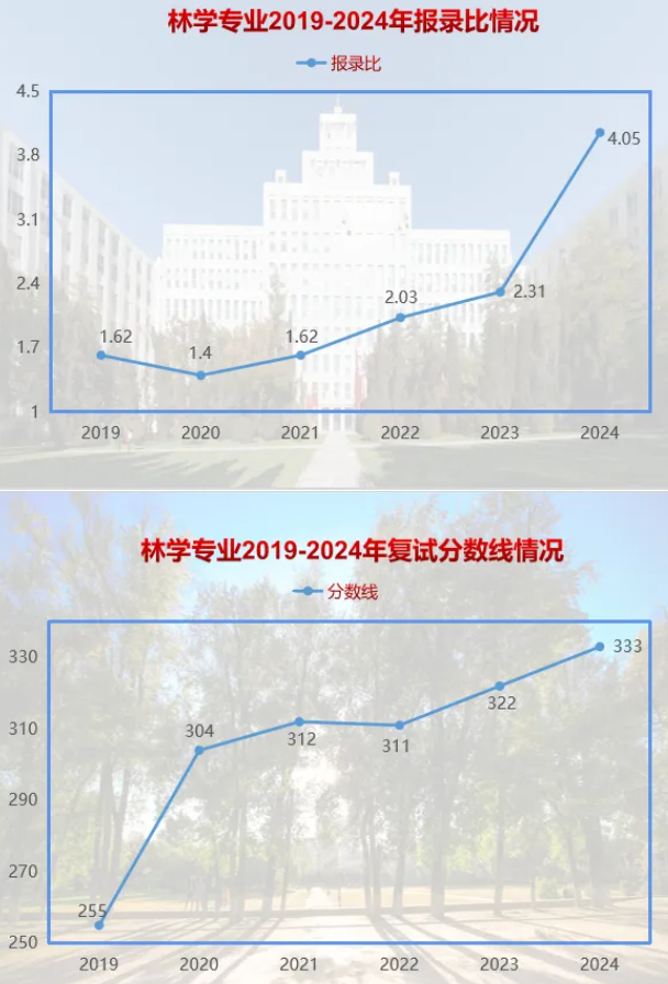 2024东北林业大学考研报录比（含2022-2023历年）