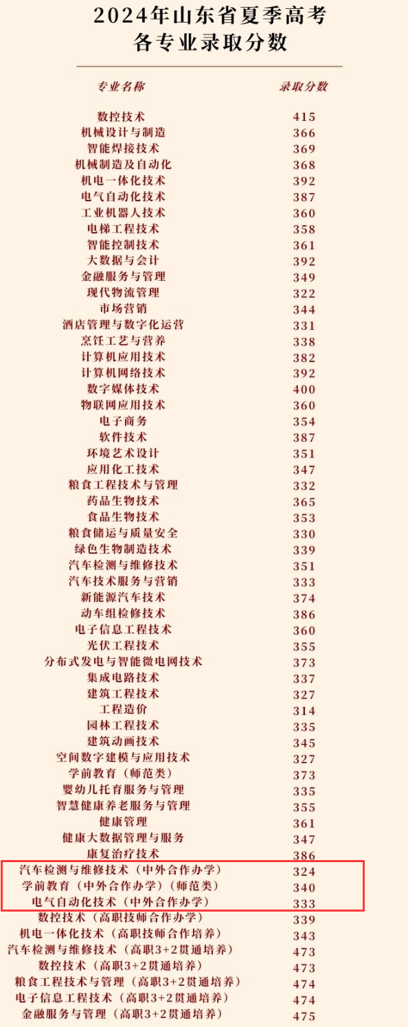 2024德州职业技术学院中外合作办学分数线（含2022-2023历年）