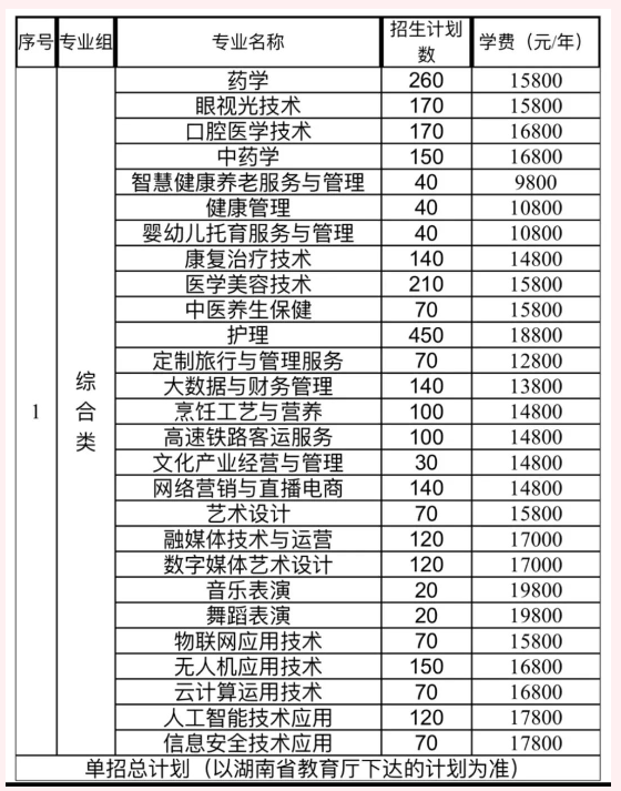 2025長沙文創(chuàng)藝術(shù)職業(yè)學(xué)院高職單招計劃