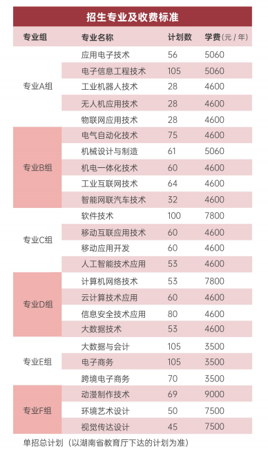 2025湖南信息职业技术学院单招计划