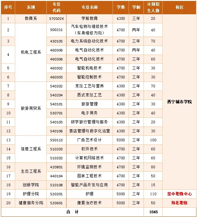 西宁城市职业技术学院高职分类考试招生专业有哪些？