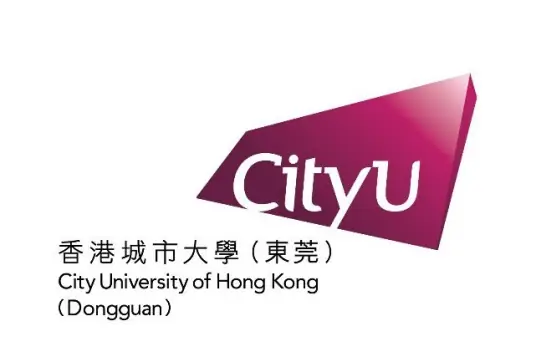 2025年香港城市大学（东莞）招生章程