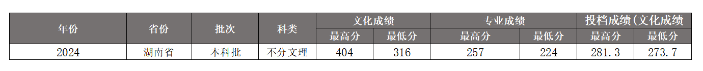2024湘潭理工学院艺术类录取分数线