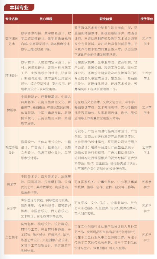 2025年云南经济管理学院艺术类招生简章