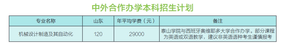 2025泰山学院中外合作办学招生计划-各专业招生人数是多少