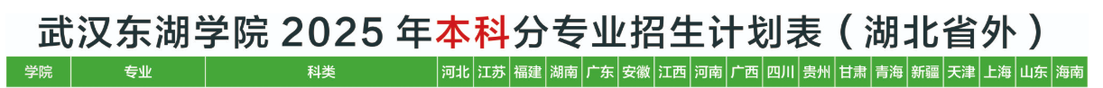 武漢東湖學(xué)院中外合作辦學(xué)專業(yè)有哪些？