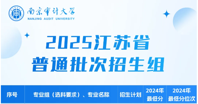 2025南京審計大學(xué)中外合作辦學(xué)招生計劃-各專業(yè)招生人數(shù)是多少