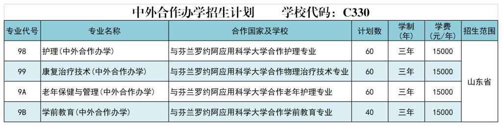 2025萊蕪職業(yè)技術(shù)學(xué)院中外合作辦學(xué)學(xué)費多少錢一年-各專業(yè)收費標(biāo)準(zhǔn)