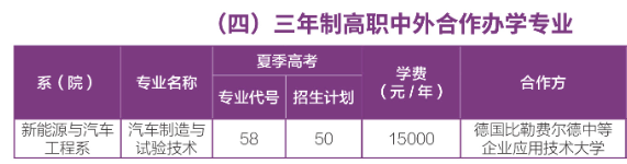 2025棗莊職業(yè)學(xué)院中外合作辦學(xué)學(xué)費(fèi)多少錢一年-各專業(yè)收費(fèi)標(biāo)準(zhǔn)