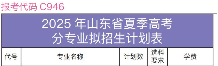 2025山東水利職業(yè)學(xué)院藝術(shù)類學(xué)費(fèi)多少錢一年-各專業(yè)收費(fèi)標(biāo)準(zhǔn)