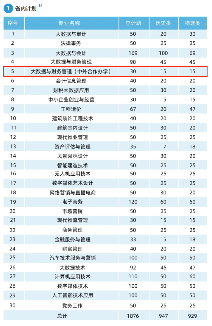 安徽审计职业学院中外合作办学专业有哪些？