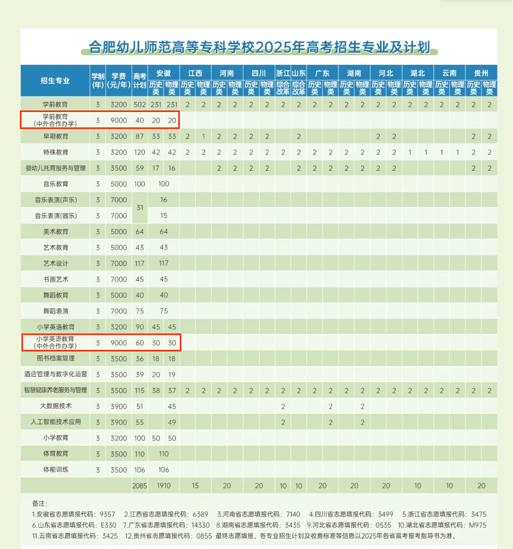 合肥幼兒師范高等?？茖W(xué)校中外合作辦學(xué)專業(yè)有哪些？