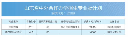 2025德州職業(yè)技術(shù)學(xué)院中外合作辦學(xué)招生計(jì)劃-各專業(yè)招生人數(shù)是多少