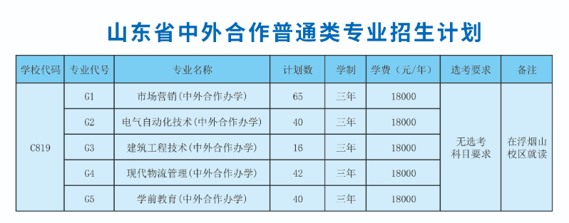 山東科技職業(yè)學(xué)院中外合作辦學(xué)專(zhuān)業(yè)有哪些？