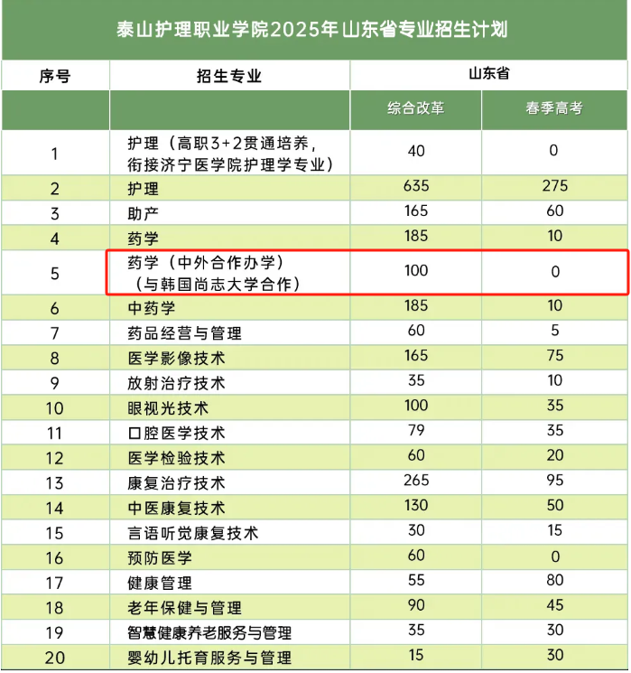 泰山護(hù)理職業(yè)學(xué)院中外合作辦學(xué)專業(yè)有哪些？