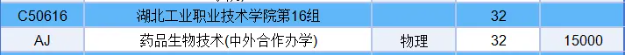 2025湖北工業(yè)職業(yè)技術(shù)學(xué)院中外合作辦學(xué)招生計劃-各專業(yè)招生人數(shù)是多少