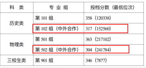 2024江西机电职业技术学院中外合作办学分数线