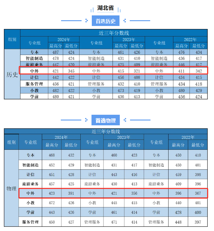2024武汉城市职业学院中外合作办学分数线（含2022-2023历年）