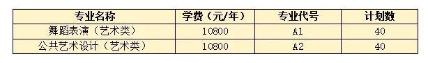 2025滨州科技职业学院艺术类学费多少钱一年-各专业收费标准