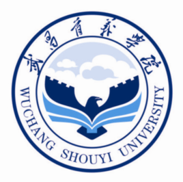 2023武昌首义学院录取分数线（含2021-2022历年）