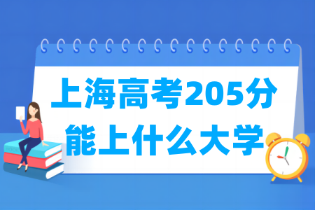 2024上海高考205分能上什么大学？