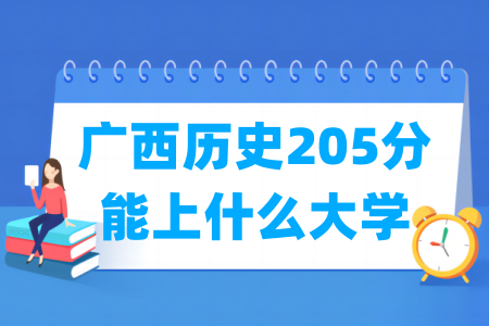 2026广西历史205分能上什么大学？
