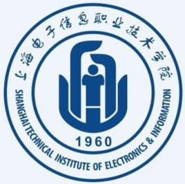 上海电子信息职业技术学院地址在哪里，哪个城市，哪个区？